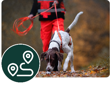 Mantrailing-Team der BRH Staffel Rems-Murr verfolgt die individuelle Geruchsspur einer vermissten Person